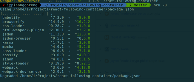 Melakukan audit sekaligus memperbarui package.json dengan perintah ncu -u.
