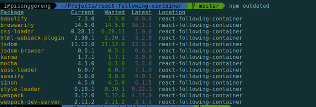 Melakukan audit dengan perintah npm outdated